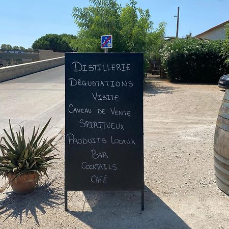 Loft Maison Fluide Aigues-Mortes Esterno foto